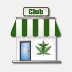 cannabis college