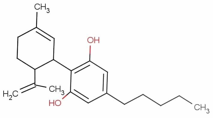 Can CBD Oil Help Treat My Anxiety?