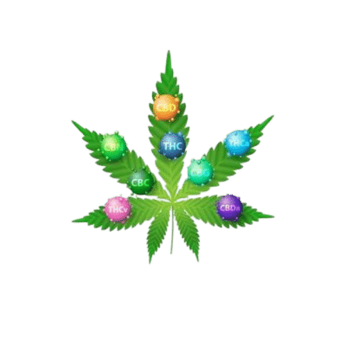 Plant Constituents