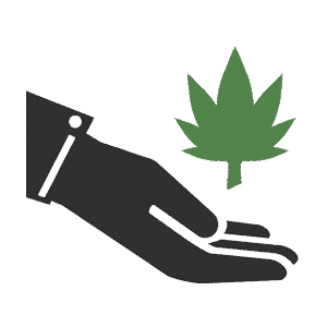 Plant Cloning Preparation