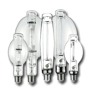 Lighting Systems & Bulbs