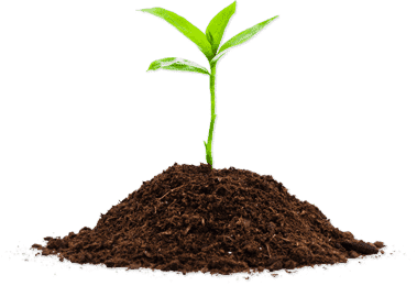 Plant Soil Amendments