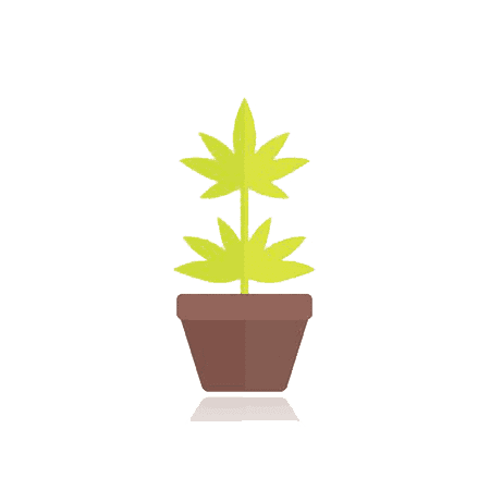 Soil Growing